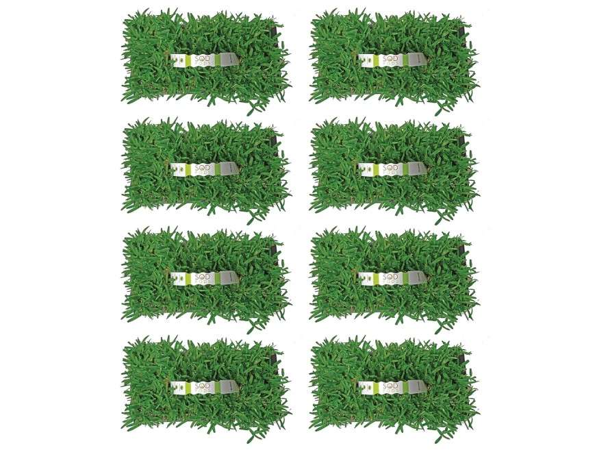 SodPods® St. Augustine Seville Grass Plugs for Lawn Repair, 3" x 3" Each (64-Count) – Cannot Ship to California/Arizona