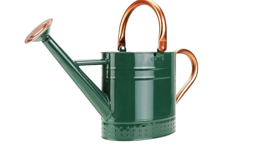 Megawodar 1 Gallon Metal Watering Can with Removable Spout, Nice Galvanized Steel Water Can with Embossed Design for Indoor and Outdoor Plants 