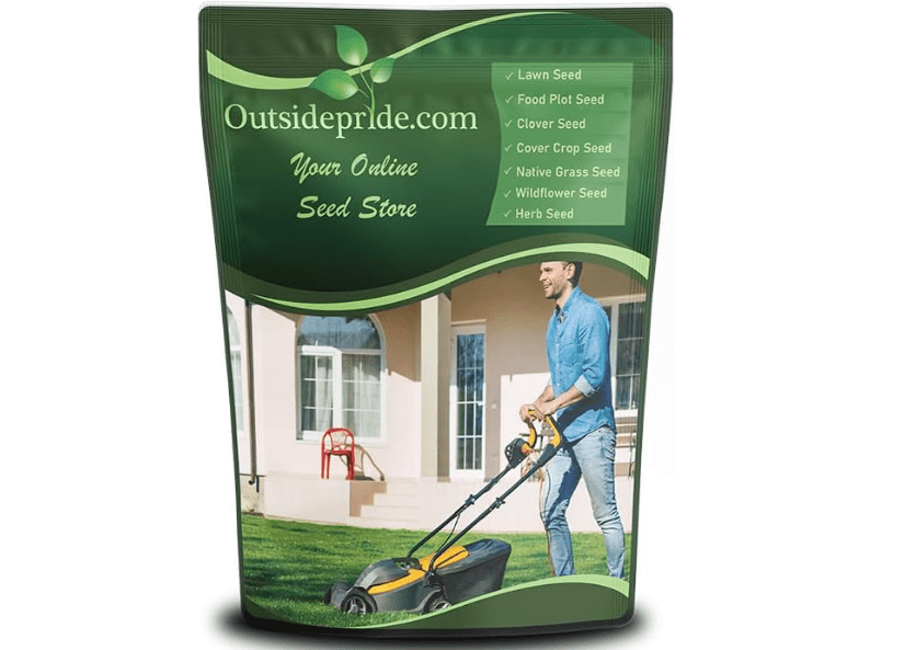 Outsidepride SPF-30 Hybrid Bluegrass Seeds - 10 lbs. Heat & Drought Tolerant, Texas Bluegrass & Kentucky Bluegrass Seed Mix for Challenging Climates