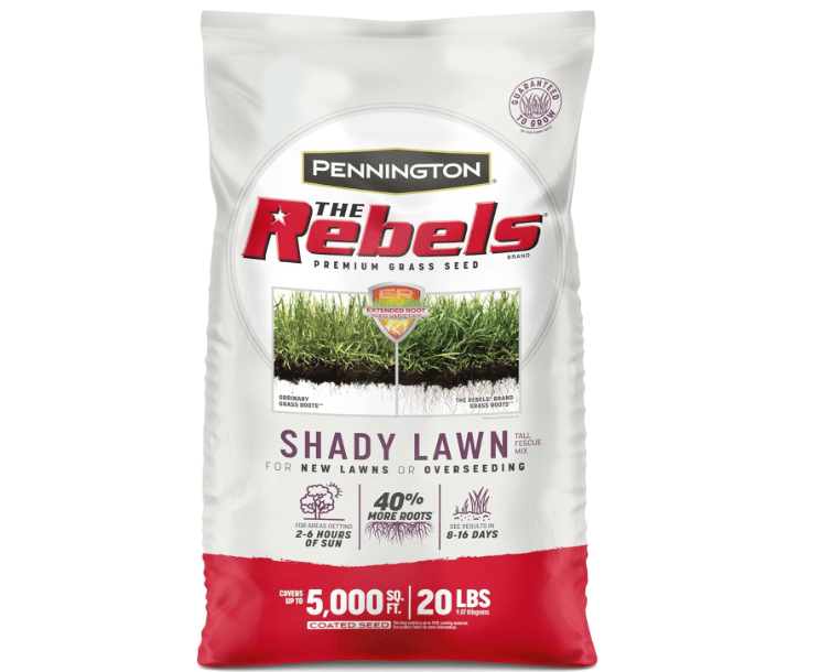 Pennington The Rebels Tall Fescue Shady Grass Seed Mix 20 lb