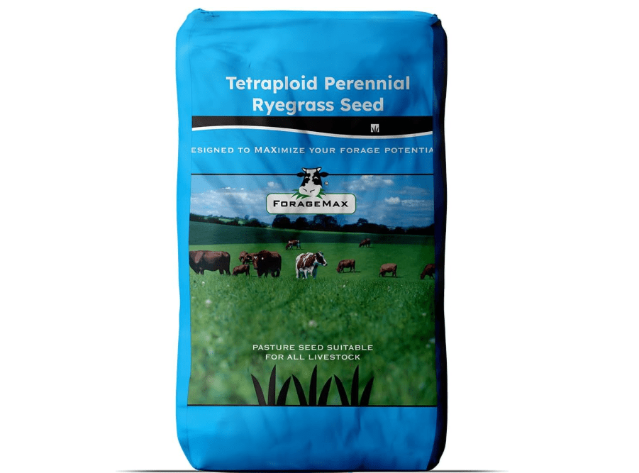 Outsidepride Ryegrass Seeds - 50 lb. Perennial, Hardy & Fast-Growing, Cover Crop Seeds for Planting Glossy Dark Green Grass Leaves, Ideal