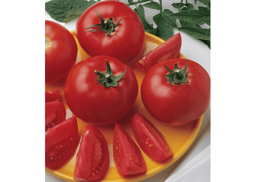 
Burpee 'Bush Early Girl' Hybrid Slicer Tomato