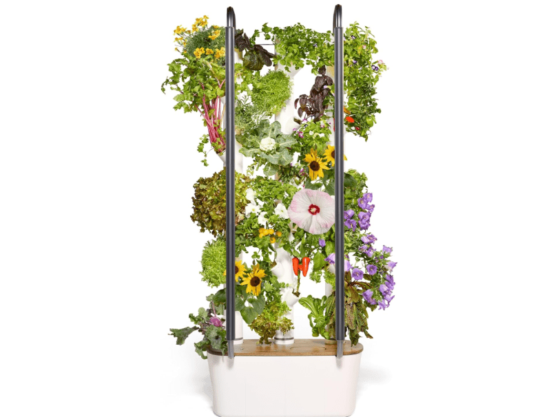  Gardyn 4.0 Hydroponics Growing System Kit & Vertical Garden Planter, 30 Non-GMO Indoor Plants Smart Garden, Herbs, Vegetables & LED Grow Lights