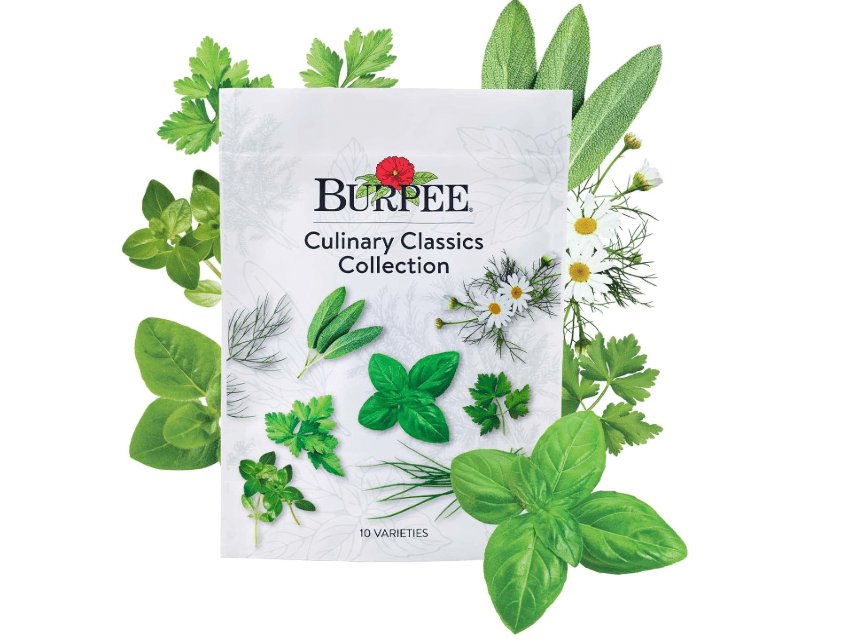 
Burpee Culinary Classics Garden Collection 10 Packets of Non-GMO Chives, Cilantro, Basil, Sage, Thyme, Dill, Parsley, Chamomile, Marjoram & Oregano