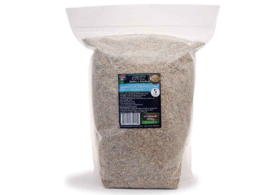 
Kentucky 31 K31 Tall Fescue Grass Seed by Eretz - Choose Size! State Certified, No fillers, No Weed or Other Crop Seeds