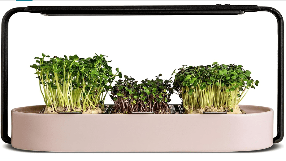  ingarden Microgreens Growing Kit - Organic Superfood Sprouting Seed Pads (3) | Auto 4-Stage LED Grow Lights & Hydroponic Watering System