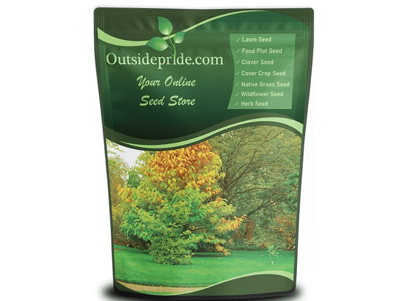 
Outsidepride Hard Fine Fescue Grass Seed - 5 lbs. Low-Growing, Drought & Shade-Tolerant, OptiGrowth Coated Seed for Lawn & Turf, Ideal for.