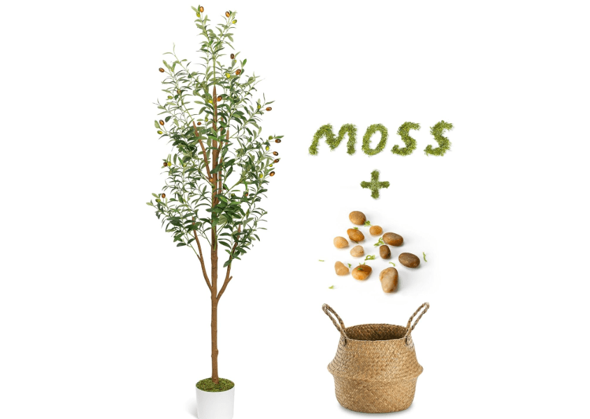 LuceAlberi 6FT Artificial Olive Tree - Indoor Tall Faux Olive Trees with Planter&Basket, Large Fake Olive Silk Tree Realistic Olive Plants with Branches..