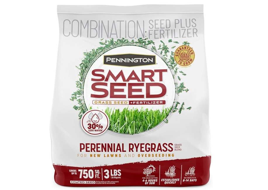  Pennington Smart Seed Perennial Ryegrass 3 lb