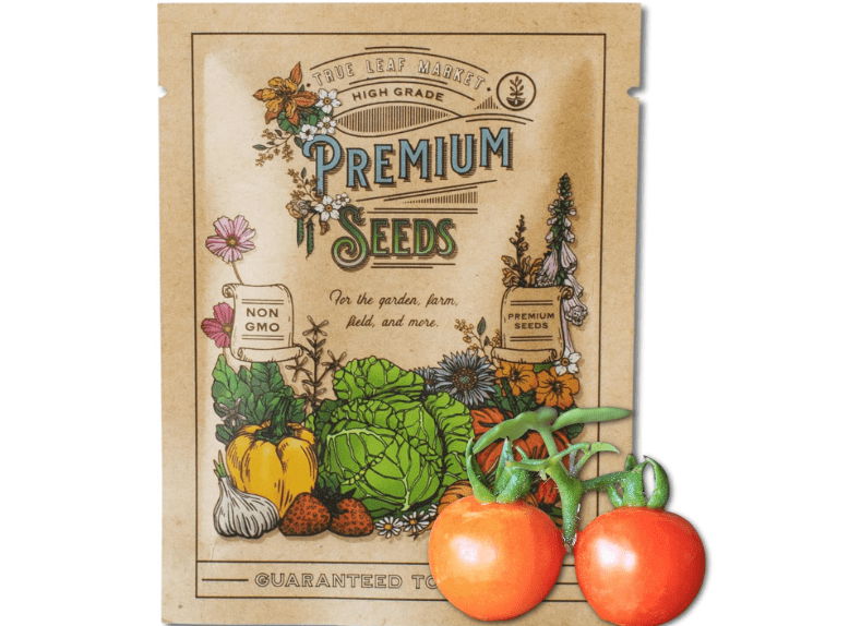 
Tomato Seeds for Planting - Baxter's Early Bush Cherry - 250 Mg 65+ Seeds - Farm & Garden Vegetable Seeds - Non-GMO, Heirloom - Sealed in a