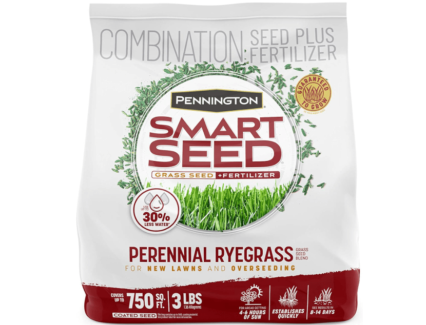 
Pennington Smart Seed Perennial Ryegrass 