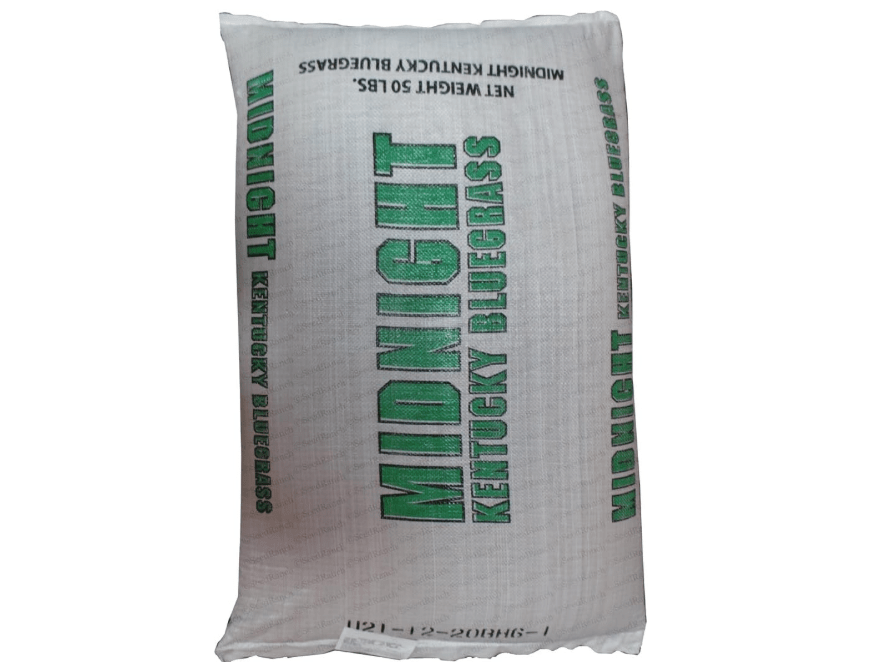 
SeedRanch Midnight Kentucky Bluegrass Seed (Certified) - 20 Lbs. by SeedRanch Bluegrass