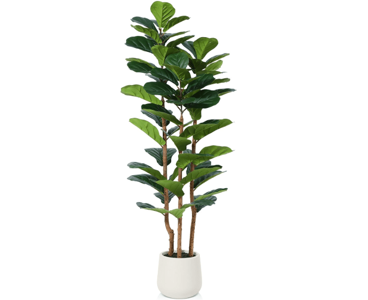 
OAKRED Artificial Fiddle Leaf Fig Tree with White Planter,5ft Tall Fake Tree with Natural Wood Trunk for Home Decor, Faux Ficus Tree Fake Moss for Indoor