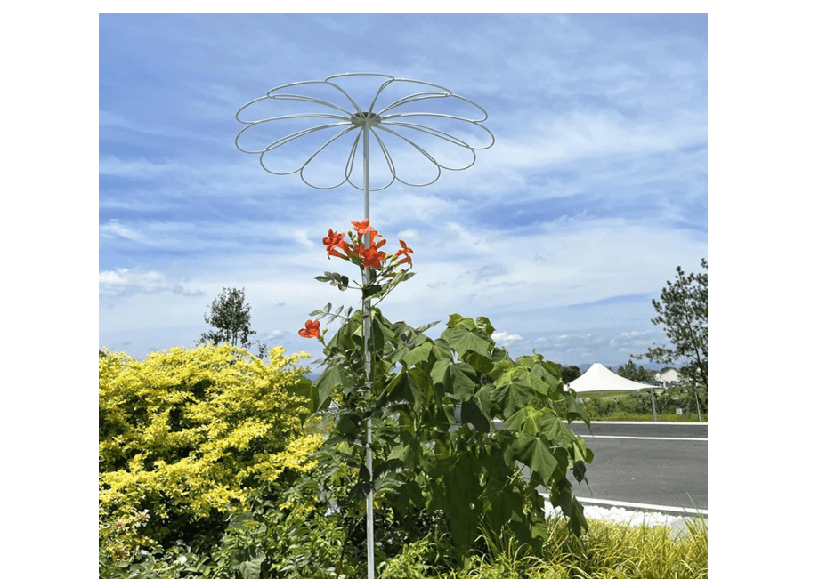 ZYFA Garden Stake Plant Support Stakes Yard Garden Trellis Plant Cage Support Ring for Climbing Vines and Flowers Stands Outdoor Decor Patio Garden Yard