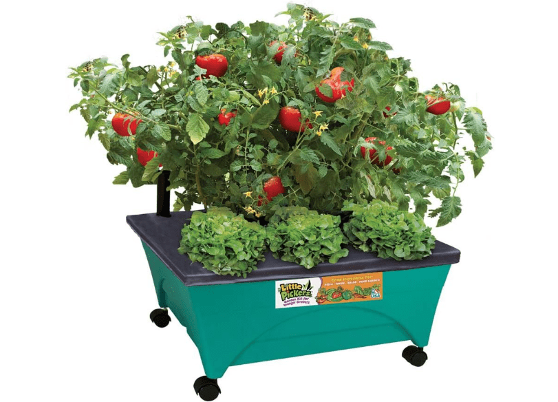
Emsco Group 2360 Little Pickers Raised Bed Children’s Improved Aeration – Mobile Unit with Casters – Teaches Kids Self Watering Grow Box, Teal