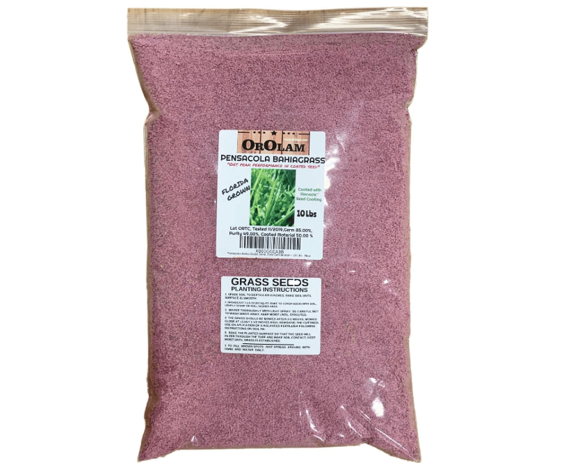 
SeedRanch Pensacola Bahia Grass Seed - 10 Lbs. by SeedRanch