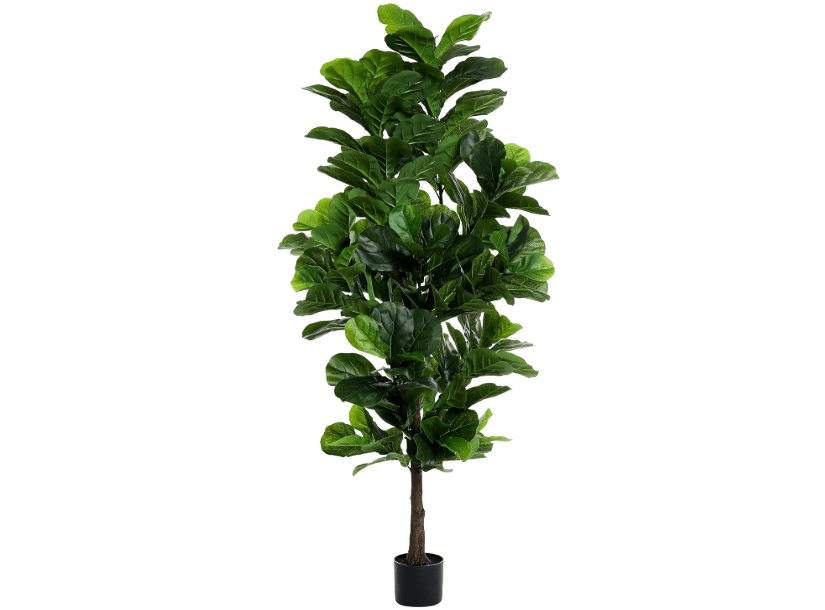 
FLOWORLD Fiddle Leaf Fig Tree 6ft Tall Artificial Tree in Plastic Pot Fake Ficus Lyrata Plants with 184 Decorative Fiddle Leaves Faux Fig Trees for Home.