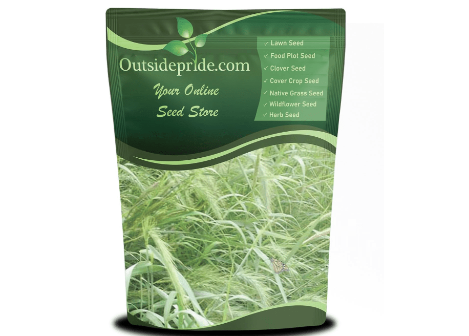 
Outsidepride Southeast Native Grass Seed Mix - 25 lbs. Perennial Drought-Tolerant Blend of Warm & Cool Season Grass Seeds for Southern Lawns, Ideal for.