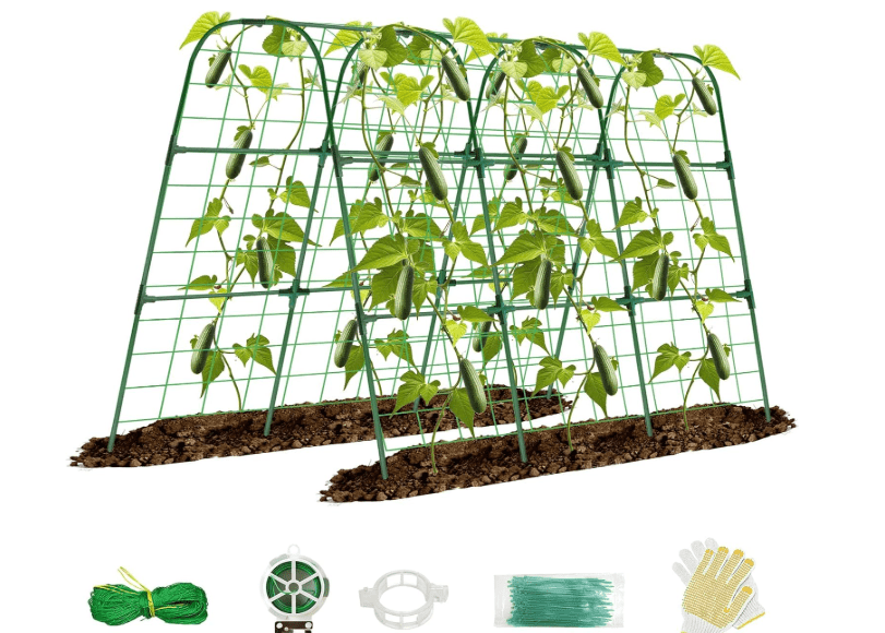  TOCCYARD Cucumber Trellis for Raised Bed, 48x48inch U-Shape Garden Trellis for Climbing Plants Outdoor, Metal Arch Trellis for Vegetables, Plant Support 