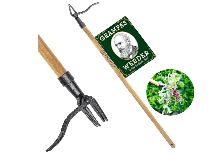 
Grampa's Weeder - The Original Stand Up Weed Puller Tool with Long Handle - Made with Real Bamboo & 4-Claw Steel Head Design - Easily Remove Weeds