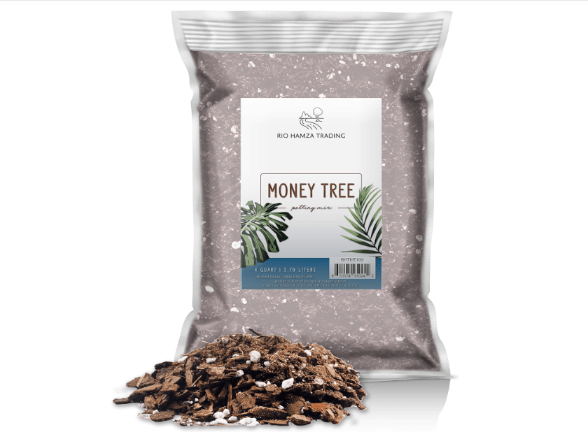 Money Tree Soil (4 Quarts), Potting Mix for Planting/Repotting Pachira Aquatica, All-Natural Custom Soil Blend