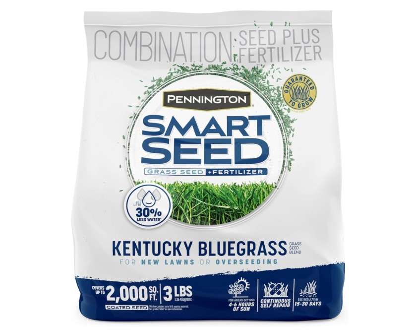Pennington Smart Seed Kentucky Blue Grass Mix 3 lb 