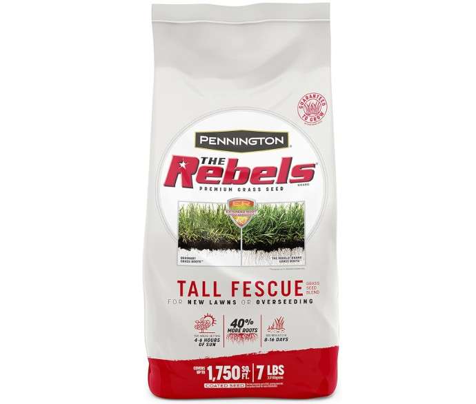  Pennington The Rebels Tall Fescue Grass Seed Mix 7 lb