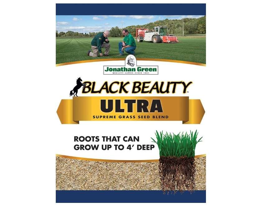 Jonathan Green 40322 Black Beauty Ultra Grass Seed, 7 lb 
