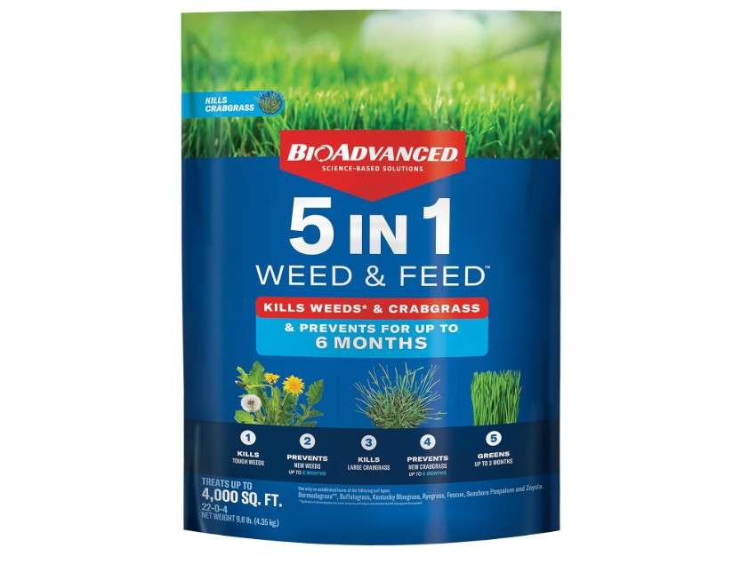 BioAdvanced 5 In 1 Weed and Feed, Granules, 24LB
