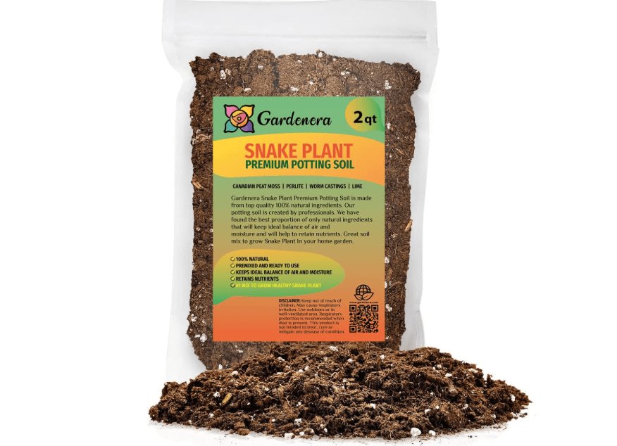  GARDENERA Premium Snake Plant Potting Soil Mix, Green Sansevieria Trifascatia Zeylanica Plants, Plant or Re-Pot Your Snake Plant - (2 Quart Bag