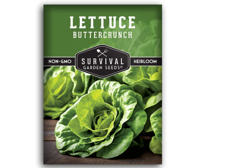 
1 Pack Buttercrunch Lettuce Seed for Planting - Packet with Instructions to Grow Rose Tinted Bibb Style Lettuce in Your Home Vegetable Garden - Non-GMO