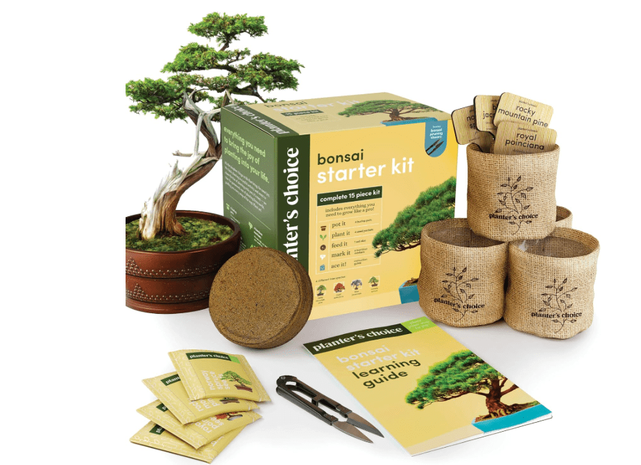 
Bonsai Starter Kit - Gardening Easter Gift for Women & Men - Bonsai Tree Growing Garden Crafts Hobby Kits for Adults, Unique DIY Hobbies for Plant.