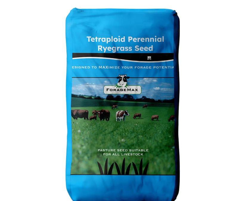 
Outsidepride Ryegrass Seeds - 50 lb. Perennial, Hardy & Fast-Growing, Cover Crop Seeds for Planting Glossy Dark Green Grass Leaves
