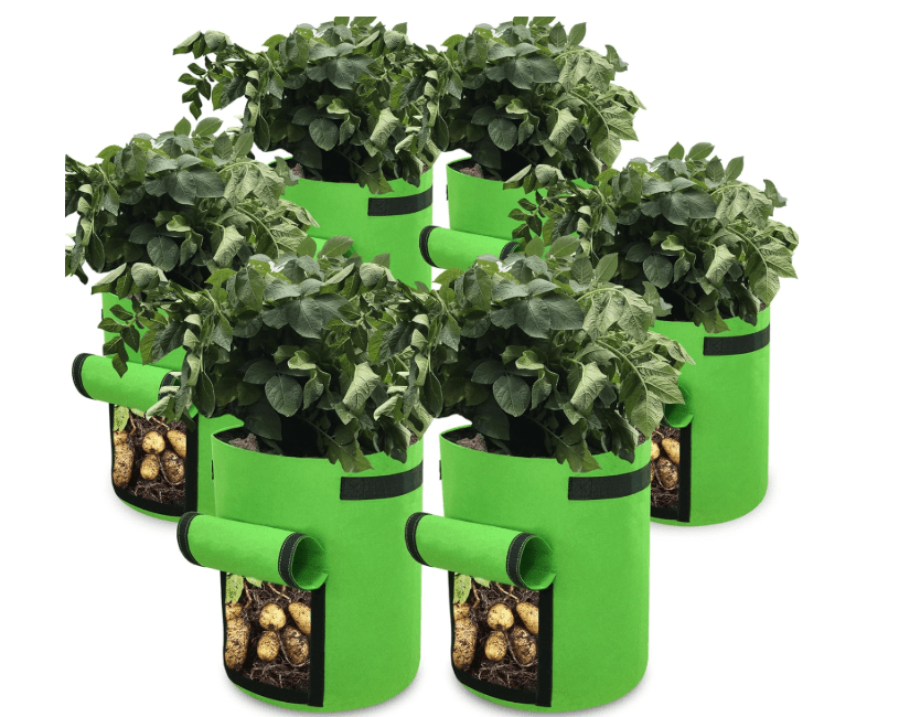 Gardzen 6 Pack BPA-Free 10 Gallon Vegetable Grow Bags with Access Flap and Handles, Suitable for Planting Potato, Taro, Beets, Carrots, Onions, Peanut