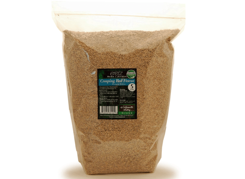
Creeping Red Fine Fescue Seed by Eretz (5lb) - Choose Size! Willamette Valley Oregon Grown, No Fillers, No Weed or Other Crop Seeds, Premium Shade