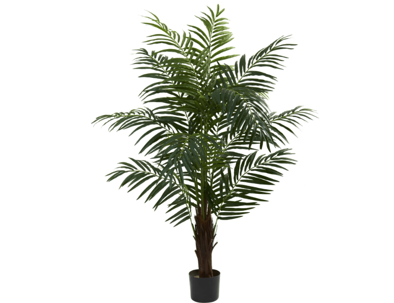 
Nearly Natural 5ft. Areca Palm Tree