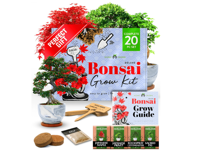 
Home Grown Bonsai Tree Kit – Premium Ceramic Starter Set with 4 Bonsai Varieties – Easy Indoor Gardening Gift for Men & Women – Unique Plant Kit for...