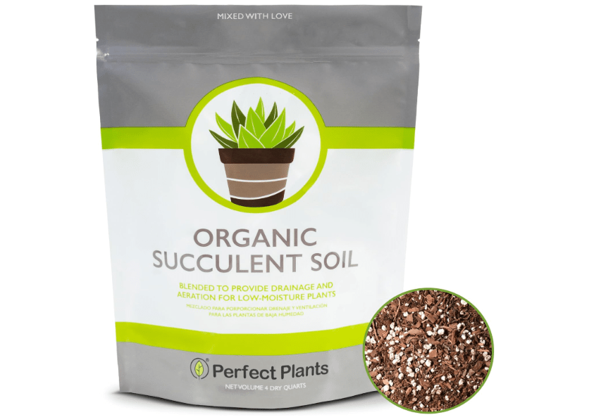
All Natural Succulent and Cactus Soil Mix by Perfect Plants | Made in The USA | 4 Quarts for All Succulent Varieties | Formulated for Proper Drainage
