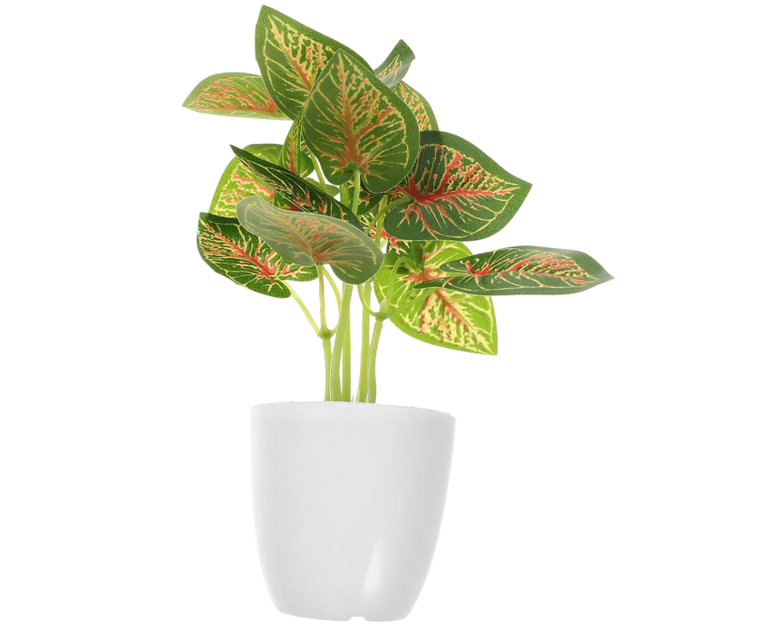 
GRIRIW Simulated Plant Pots Artificial Begonia Rex Fake Plant Set for Wedding Room Office Easy