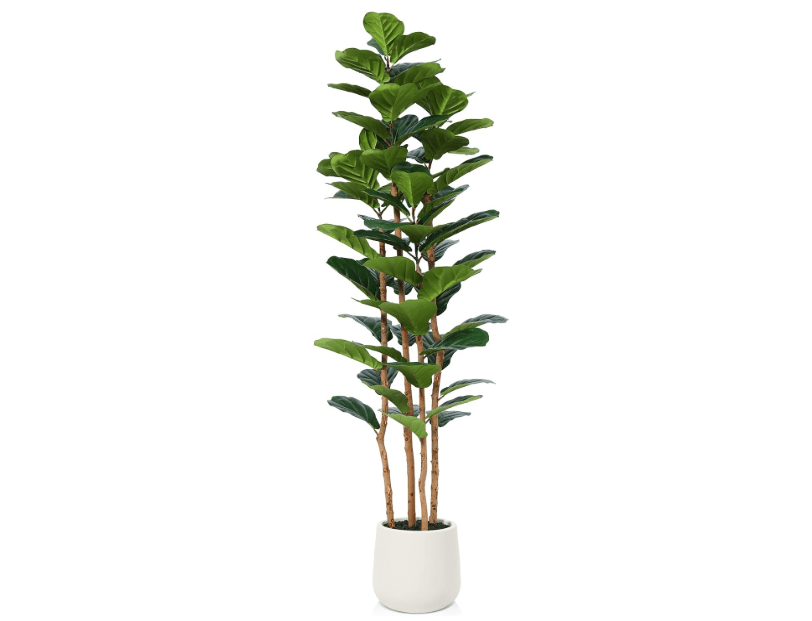
OAKRED Artificial Fiddle Leaf Fig Tree with White Planter, 6ft Tall Fake Tree with Natural Wood Trunk for Home Decor, Faux Ficus Tree Fake Moss for Indoor..