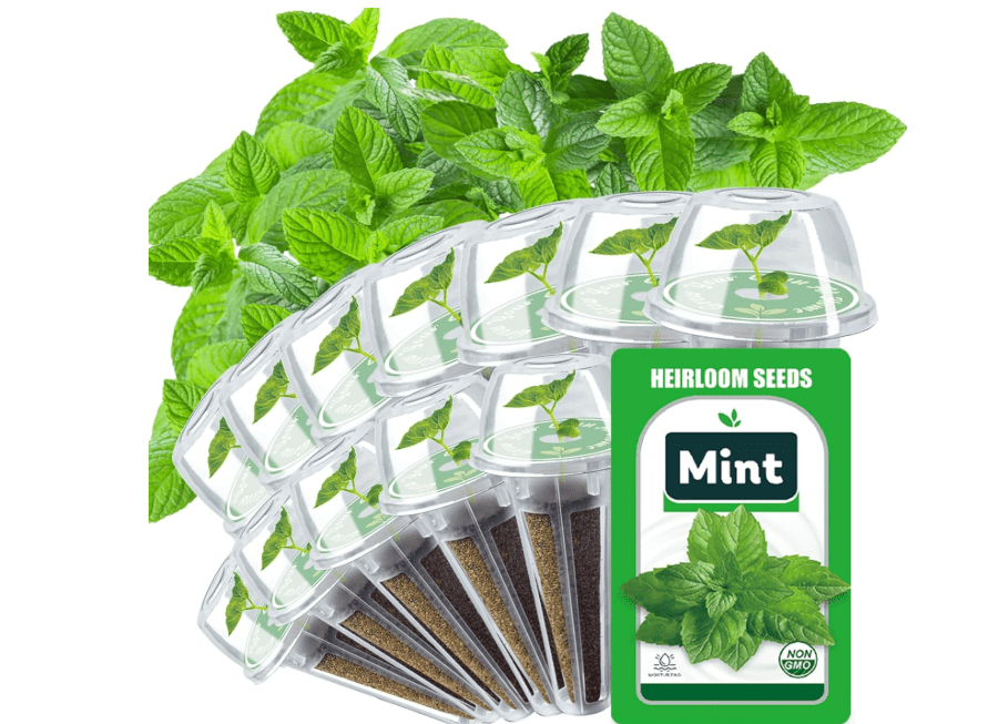
Mint Seed Pods for All Hydroponics Growing Systems, 12 Pods Herb Kit with 800+ Seeds of Mint, Grow Your Own Herb Garden at Home