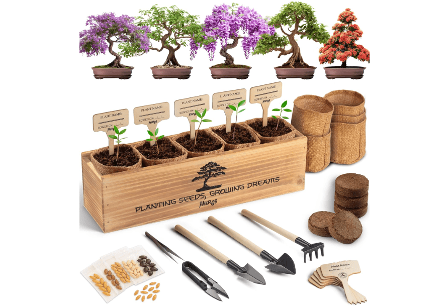 
AVERGO Bonsai Tree Kit for Beginners – 5X Unique Japanese Bonzai Trees | Complete Indoor Starter Kit for Growing Plants with Bonsai Seeds, Tools &.