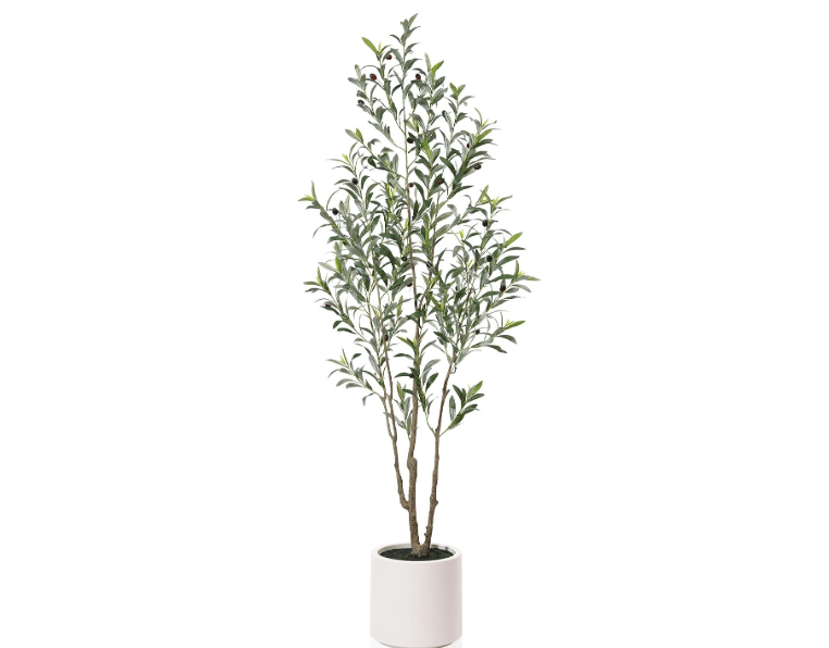
LOMANTO Artificial Olive Trees, 6 ft Tall Fake Olive Trees for Indoor, Faux Olive Silk Tree, Large Olive Plants with White Planter for Home Decor and