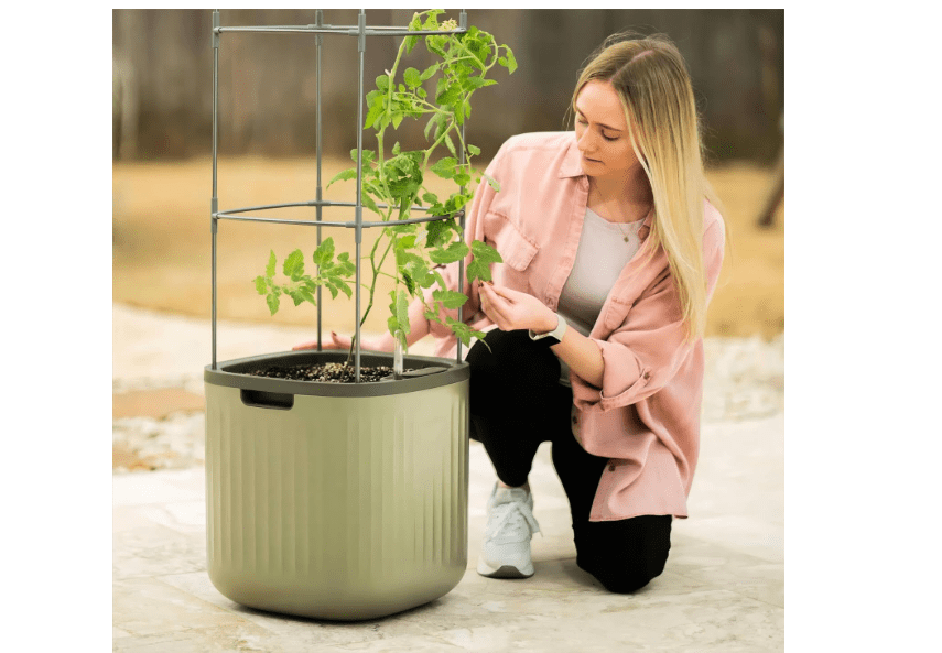 
Vego garden Tomato Planter Box with Trellis Self-Watering Rolling Raised Garden Bed for Climbing Vegetables Plants Cage