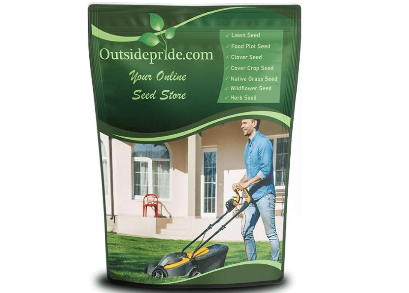 
Outsidepride SPF-30 Hybrid Bluegrass Seeds - 10 lbs. Heat & Drought Tolerant, Texas Bluegrass & Kentucky Bluegrass Seed Mix for Challenging Climates