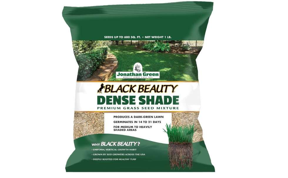  Jonathan Green (10622) Black Beauty Dense Shade Grass Seed - Cool Season Lawn Seed