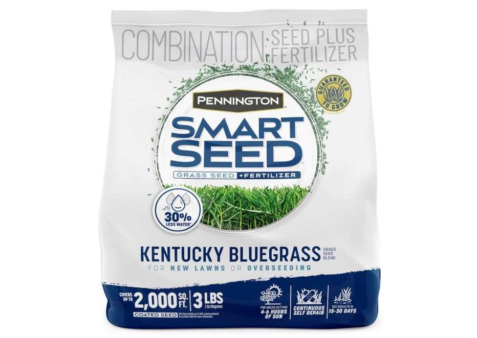  Pennington Smart Seed Kentucky Blue Grass Mix 3 lb