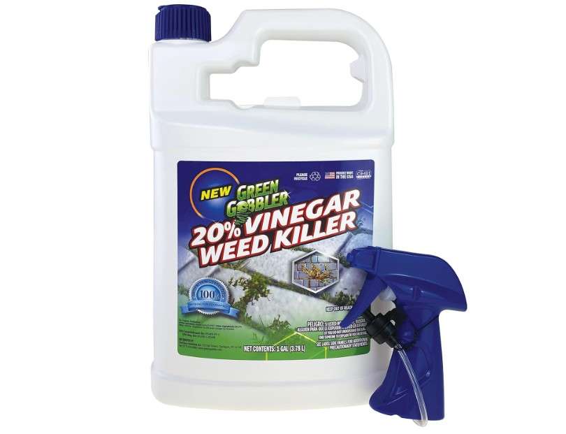 Green Gobbler 20% Vinegar Weed & Grass Killer | Natural & Organic | Concentrated | 1 Gallon Spray | Glyphosate Free Herbicide