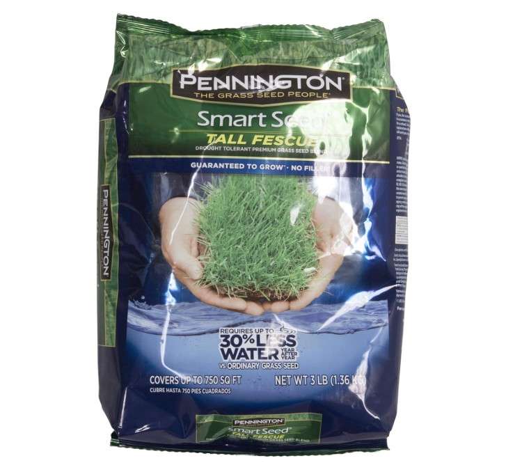
Pennington 100086830 Smart Seed Tall Fescue Premium Grass Seed Blend, 3-Pound