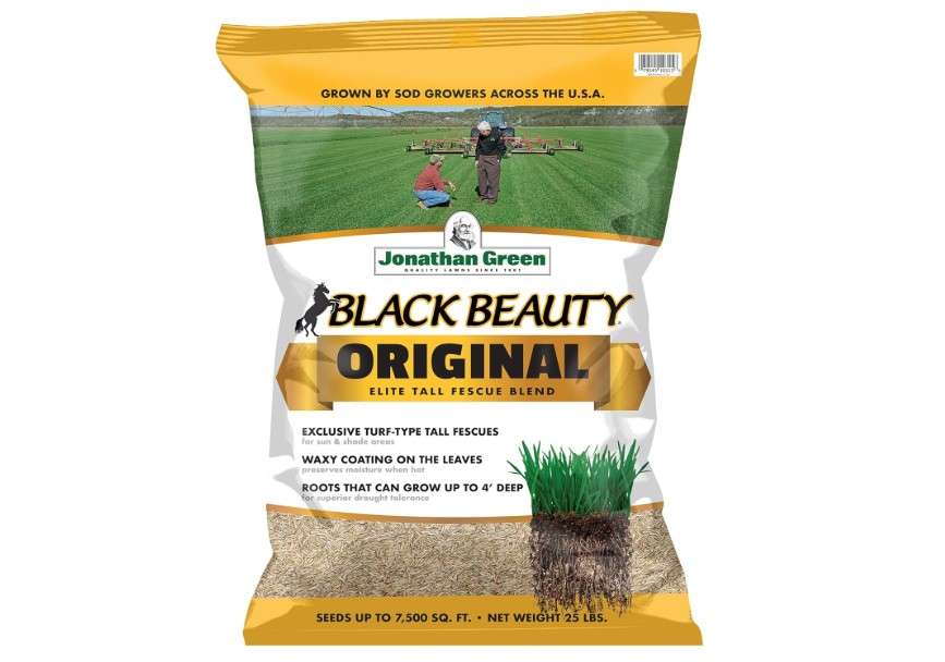  Jonathan Green (10315) Black Beauty Original Grass Seed Blend - Cool Season Lawn Seed